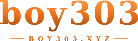 boy303 logo
